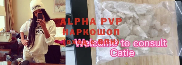 хмурый Алексин
