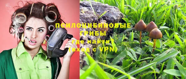 герыч Алзамай