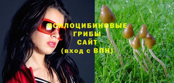 хмурый Алексин