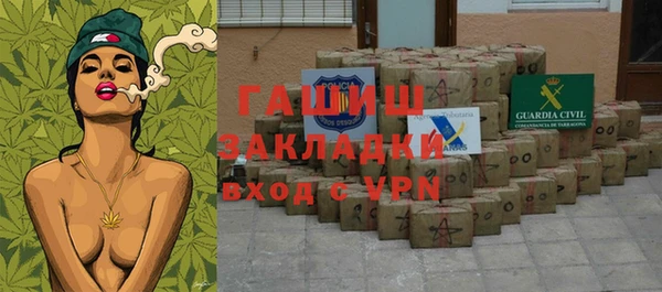 хмурый Алексин