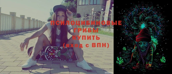 хмурый Алексин