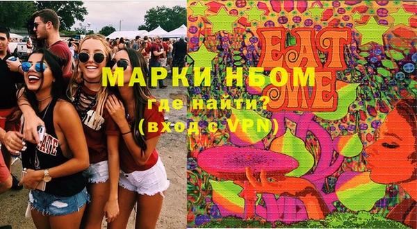хмурый Алексин