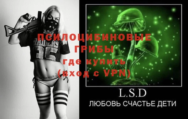 бошки Алексеевка