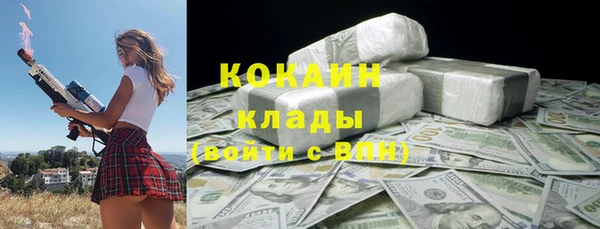 хмурый Алексин