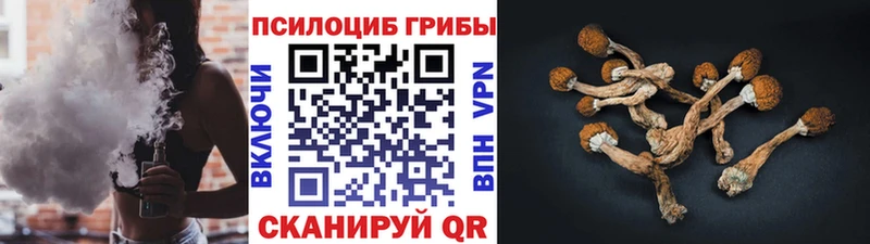 Псилоцибиновые грибы мицелий  кракен сайт  Неман  наркошоп 